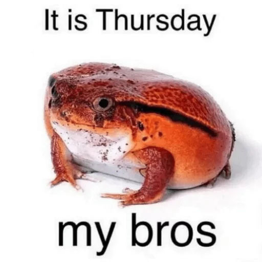 👓 Стикер «Wednesday My Dudes» для Telegram