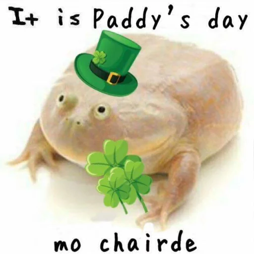 🍀 Стикер «Wednesday My Dudes» для Telegram