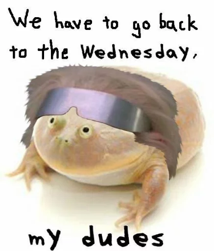 🏵 Стикер «Wednesday My Dudes» для Telegram