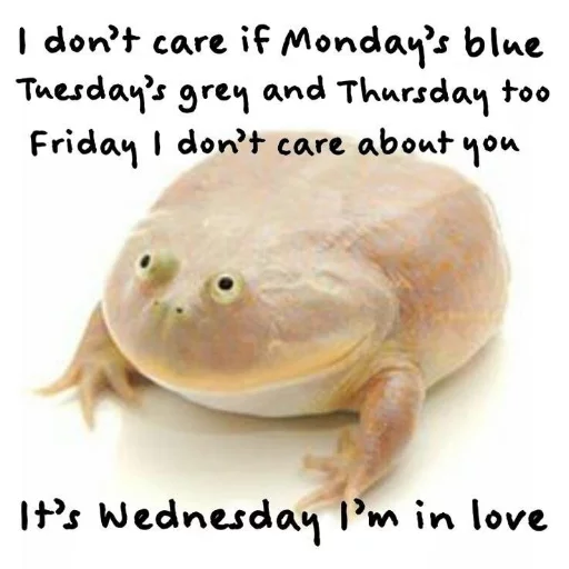 ❤ Стикер «Wednesday My Dudes» для Telegram