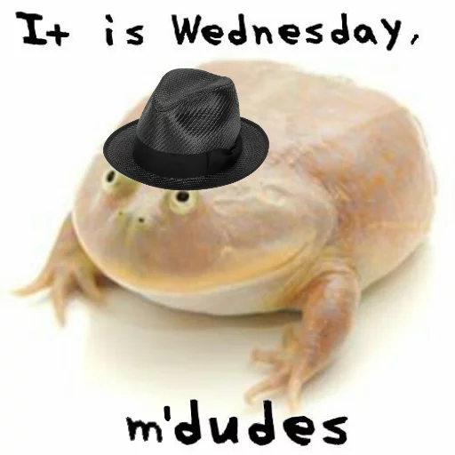🎩 Стикер «Wednesday My Dudes» для Telegram