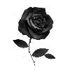 🌹 Эмодзи «Black aesthetic emoji» для Telegram
