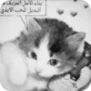 🌟 Эмодзи «White and Pink» для Telegram