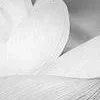 😀 Эмодзи «White and Pink» для Telegram