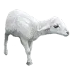 🐑 Эмодзи «White» для Telegram