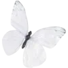 🤩 Эмодзи «White» для Telegram