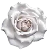 🤍 Эмодзи «White» для Telegram