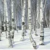 ❄️ Эмодзи «White» для Telegram