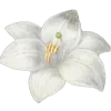 🤩 Эмодзи «white» для Telegram
