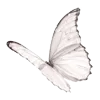 🦋 Эмодзи «Светлые тона» для Telegram