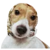 🐕 Эмодзи «» для Telegram