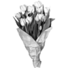 💐 Эмодзи «White Amp Black» для Telegram