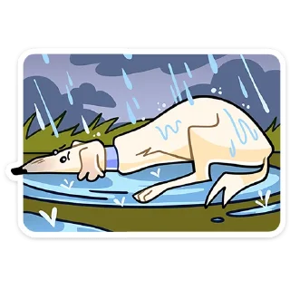 🐶 Стикер «Белый» для Telegram