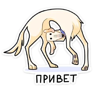 Стикерпак Белый для Telegram