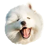 😅 Эмодзи «White Dog Emoji» для Telegram