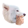 🤔 Эмодзи «White Dog Emoji» для Telegram