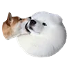 🫤 Эмодзи «White Dog Emoji» для Telegram