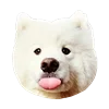 😛 Эмодзи «White Dog Emoji» для Telegram