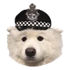 👮‍♂️ Эмодзи «White Dog Emoji» для Telegram