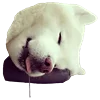 😴 Эмодзи «White Dog Emoji» для Telegram