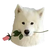 💐 Эмодзи «White Dog Emoji» для Telegram
