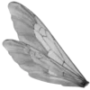 🦋 Эмодзи «White emoji kwii» для Telegram