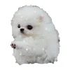 🐶 Эмодзи «White emoji kwii» для Telegram
