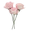 🌹 Эмодзи «Whitepink» для Telegram