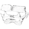 🎭 Эмодзи «White Trash» для Telegram