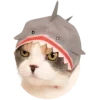 🦈 Эмодзи «Зимний Набор» для Telegram