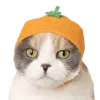 🍊 Эмодзи «Зимний Набор» для Telegram