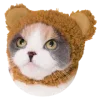 🐻 Эмодзи «Зимний Набор» для Telegram