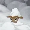 ☃️ Эмодзи «Winter With» для Telegram