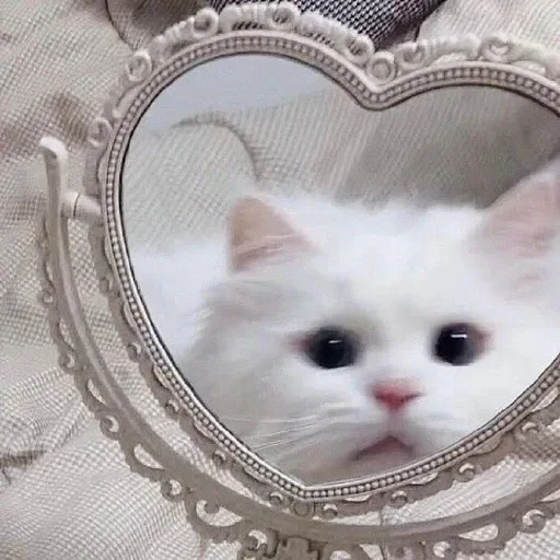 🐈 Стикер «Зимний вечер» для Telegram