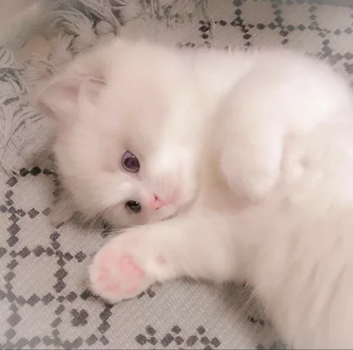 💓 Стикер «Зимний вечер» для Telegram