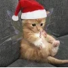 🤩 Эмодзи «Новогодние К» для Telegram