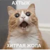 🤩 Эмодзи «Новогодние К» для Telegram
