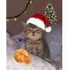 🤩 Эмодзи «Новогодние К» для Telegram