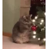 🎅 Эмодзи «Новогодние К» для Telegram