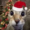 🤩 Эмодзи «Новогодние К» для Telegram