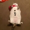 🫠 Эмодзи «Новогодние К» для Telegram