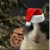 🤩 Эмодзи «Новогодние К» для Telegram