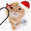 🤩 Эмодзи «Новогодние К» для Telegram