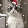 🤩 Эмодзи «Новогодние К» для Telegram