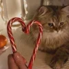 🤩 Эмодзи «Новогодние К» для Telegram