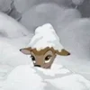 ☃️ Эмодзи «Winter With Lery» для Telegram
