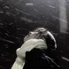 ❄️ Эмодзи «١ ᥕƖᥒᴛꫀR Ɓƴ» для Telegram