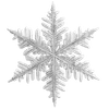 ❄️ Эмодзи «١ ᥕƖᥒᴛꫀR Ɓƴ» для Telegram