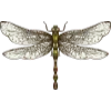 🦋 Эмодзи «Witchcraft» для Telegram