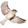 😇 Эмодзи «Vintage Arcana» для Telegram